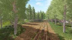 Forestry Land v1.1 для Farming Simulator 2017