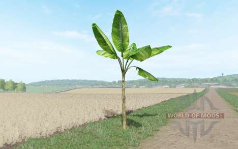 Банановое дерево для Farming Simulator 2017