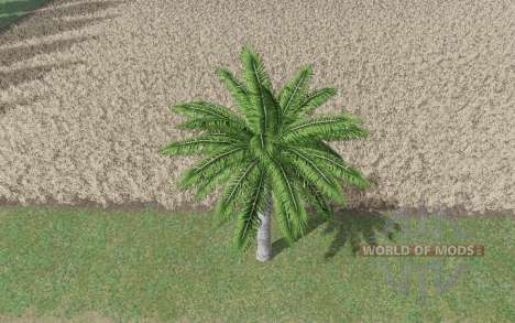 Кокосовое дерево для Farming Simulator 2017