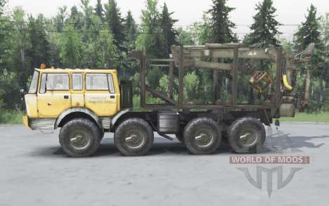 Tatra T813 для Spin Tires