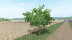 Фруктовые деревья для Farming Simulator 2017