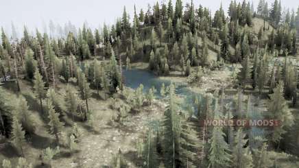 Затопленный лес для MudRunner