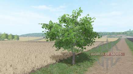 Фруктовые деревья для Farming Simulator 2017