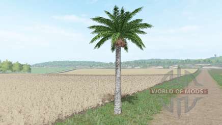 Кокосовое дерево для Farming Simulator 2017