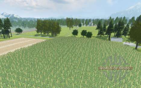Holzheimerstrasse Country для Farming Simulator 2013