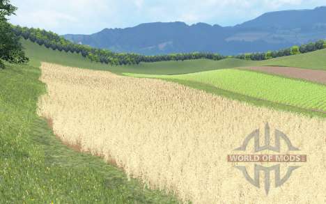 Biczycka Wies для Farming Simulator 2015
