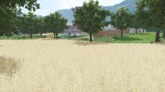 Farmerowo для Farming Simulator 2017