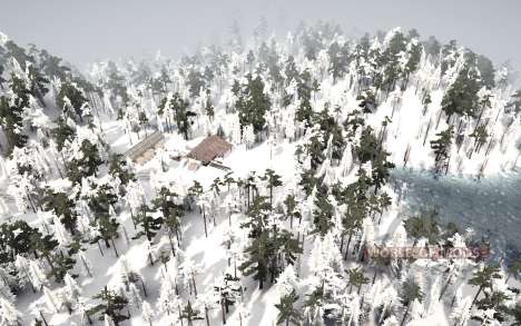 Dark Forest Snow для Spintires MudRunner