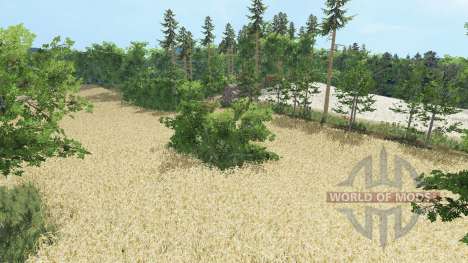 Radzany для Farming Simulator 2015