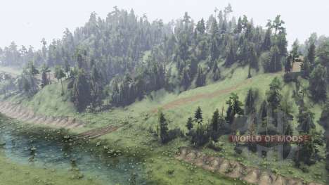 Балалайка для Spin Tires