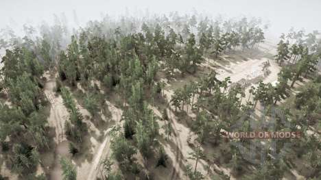 Forest Roads 2021 для Spintires MudRunner