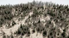 Bronislaw Forest для MudRunner