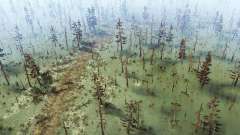 Map The Swamp для MudRunner