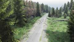 Map Forest для Spin Tires