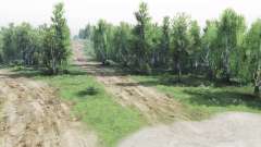 Walk in the   Woods для Spin Tires
