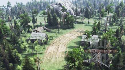 Map  Forest для Spin Tires