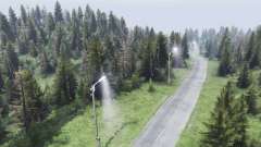 Map   Forest для Spin Tires