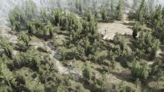 Birchwood  Outlands для MudRunner