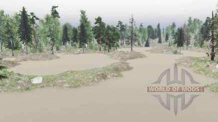 Map Swamps для Spin Tires