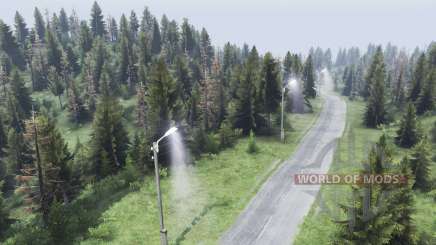 Map   Forest для Spin Tires