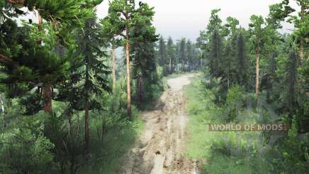 Reserved  Forest для Spin Tires