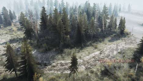 Редкий  лес для Spintires MudRunner