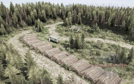 Томское  2 для Spintires MudRunner