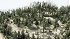 Forest Roads для MudRunner