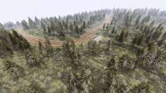 Map          Forest для Spin Tires