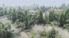 Deciduous    Forest для Spin Tires