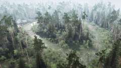 Swampy Forest  2 для MudRunner