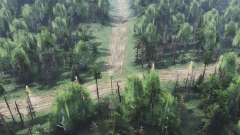 Dry Forest для Spin Tires