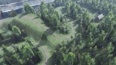 Map       Forest для Spin Tires