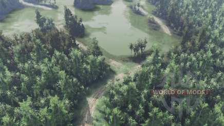 Green  Valley для Spin Tires