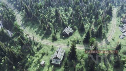 Map            Forest для Spin Tires