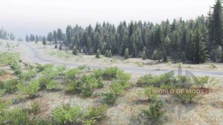 Map Peatland для Spin Tires