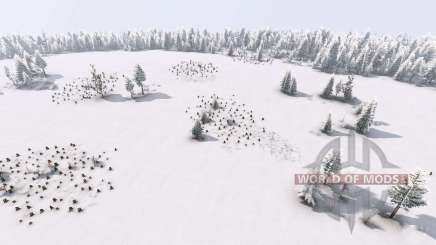 Map  Winter для Spin Tires