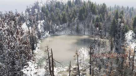Spring   Flood для Spin Tires