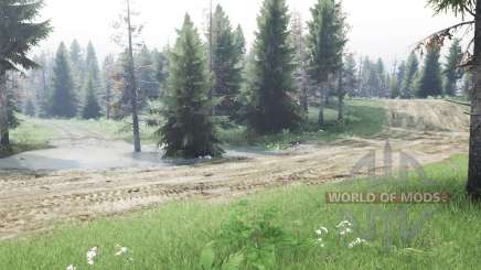 For half an   hour для Spin Tires