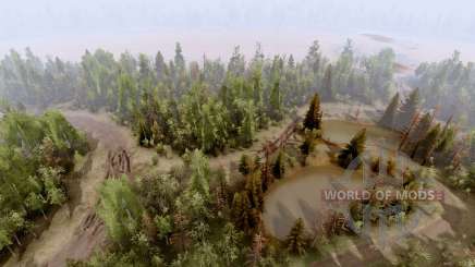 Compact  3 для Spin Tires