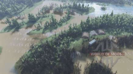 Map    Swamps для Spin Tires