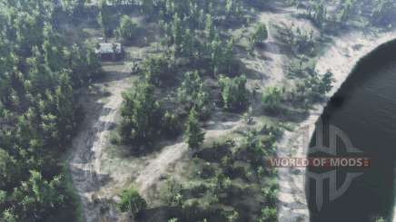 Deciduous  Forest для Spin Tires