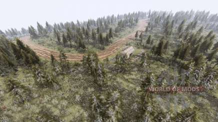 Map          Forest для Spin Tires
