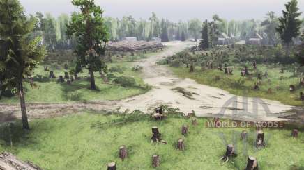 Region  44 для Spin Tires