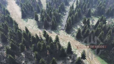 Map  Bridge для Spin Tires