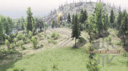 Spooky      Forest для Spin Tires