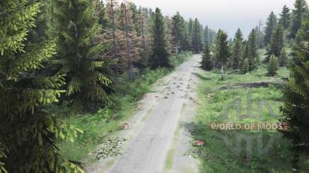 Map           Forest для Spin Tires