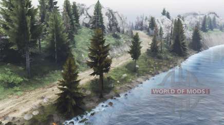 In the Woods for Firewood для Spin Tires