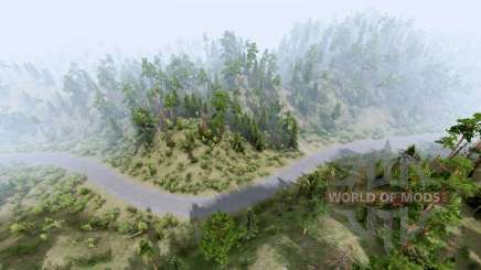 Care Free  Highway для Spin Tires