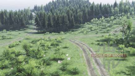 Again in Reis для Spin Tires
